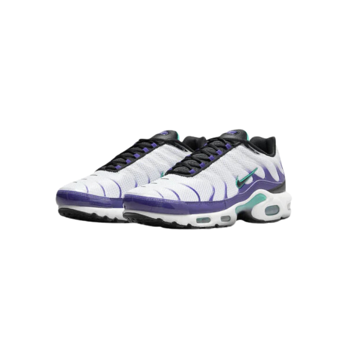Nike Air Max Plus TN [Grape]